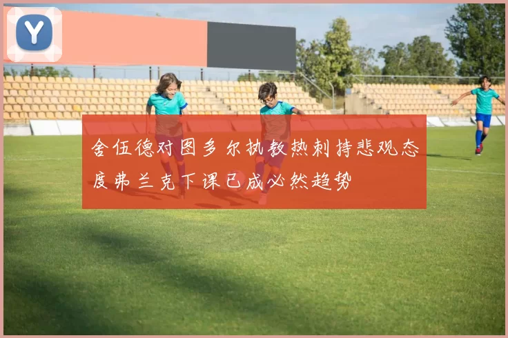 舍伍德对图多尔执教热刺持悲观态度弗兰克下课已成必然趋势